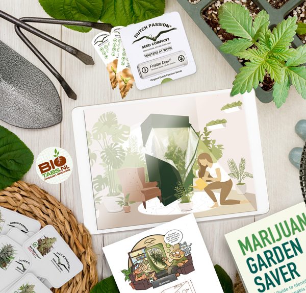 Beginner's guide to growing weed indoors